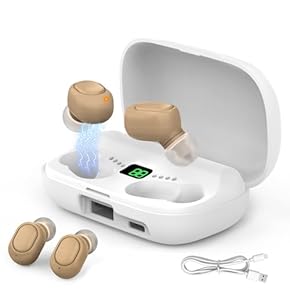 小型充電式集音器 集音器 充電式 オシャレでコンパクト